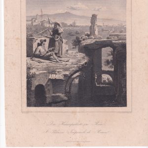 Stampa Die Kaiserpalaste in Rom – I palazzi Imperiali di Roma stampa